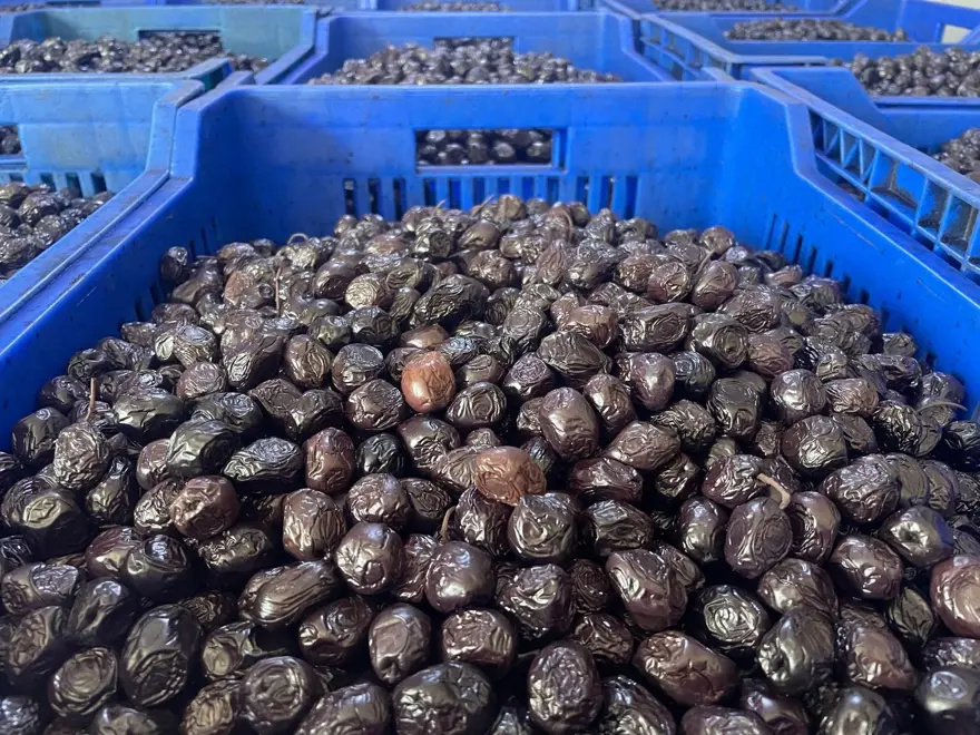 Bursa ve Balıkesir üretecek: Rekolte tahminleri açıklandı 3 Bursa ve Balıkesir üretecek: Rekolte tahminleri açıklandı 3