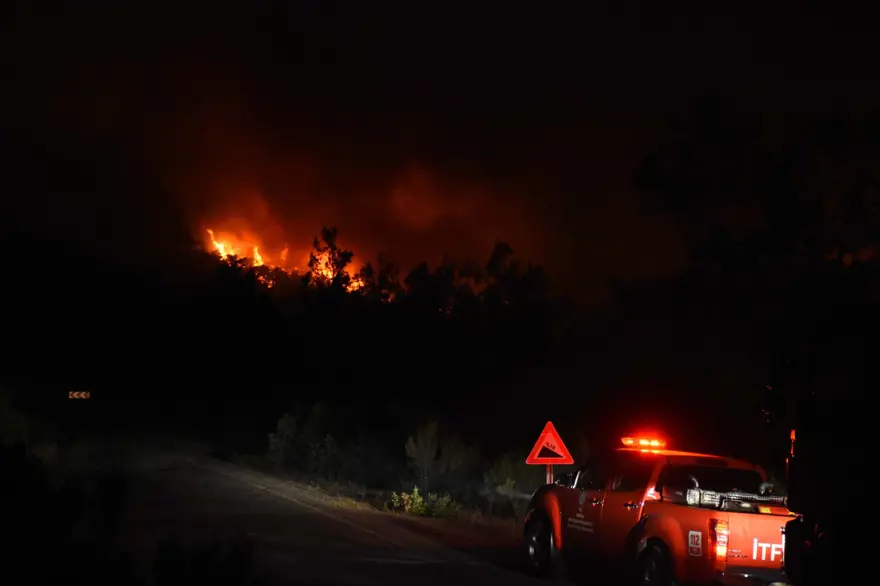 Marmaris'te orman yangını: Alevlerle mücadelede 2. gün 50 Marmaris'te orman yangını: Alevlerle mücadelede 2. gün 50