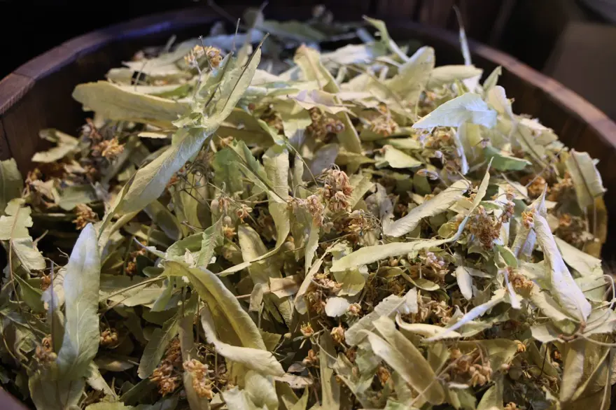 Havalar soğudu, talep arttı: Gripten korunmak isteyen kapış kapış alıyor 3