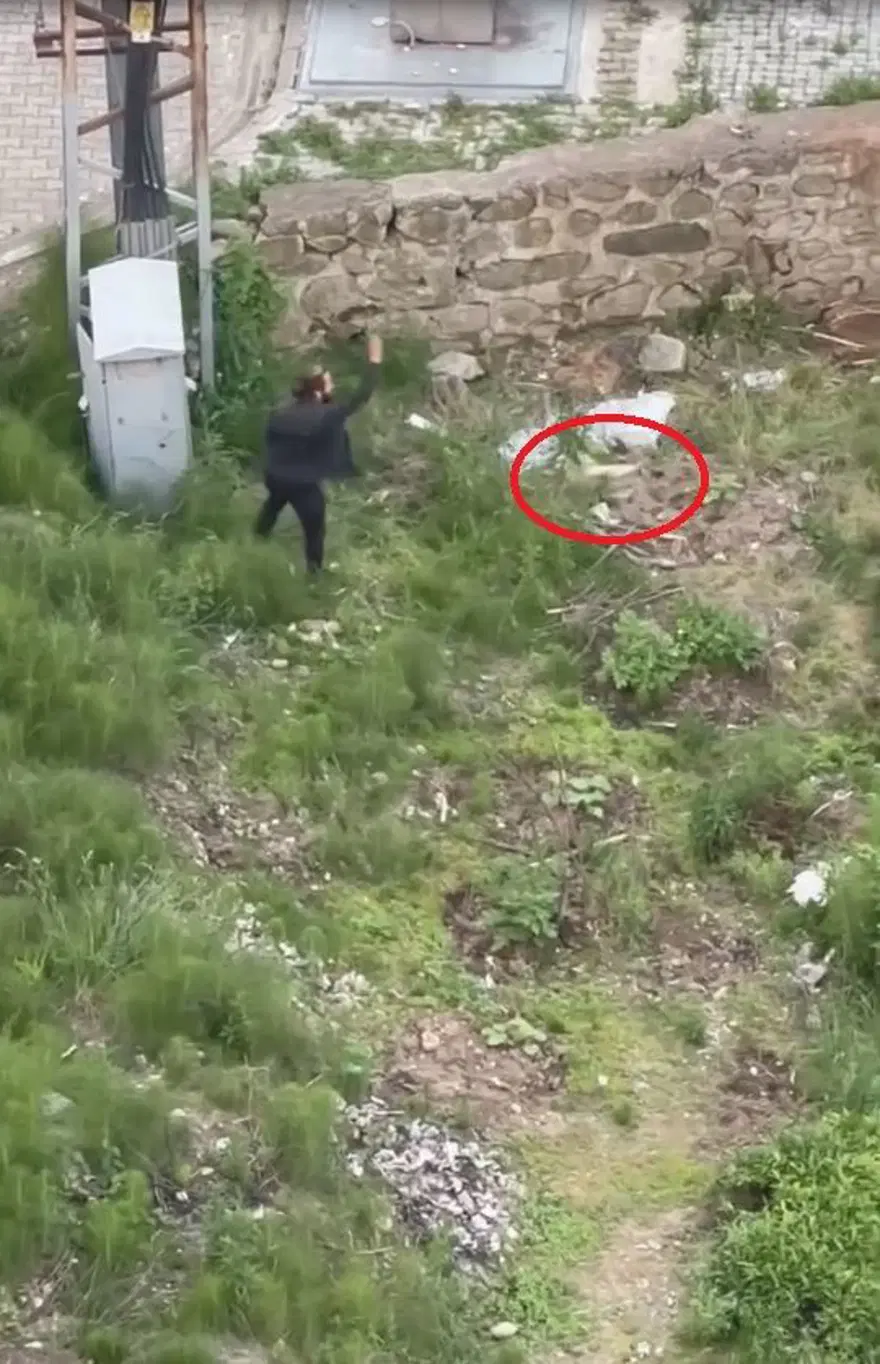 Trabzon’davahşet: Yavru kediyi ezerek öldürdü, defalarca tekmeleyip fırlattı 2
