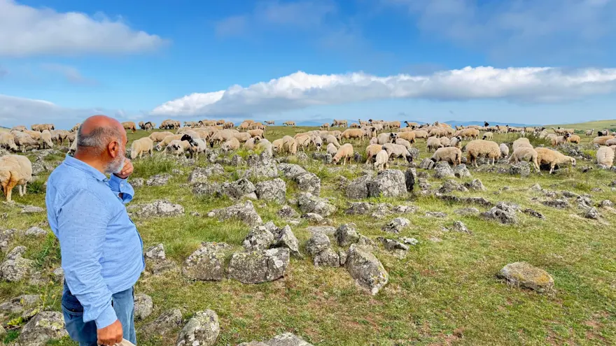 Tuz taşı olarak keçilere yalatılıyordu: Türk beyliklerinin savaş alanındaki mezar taşlarıymış 