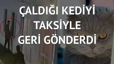 Arandığını duyan hırsız kediyi evine yolladı