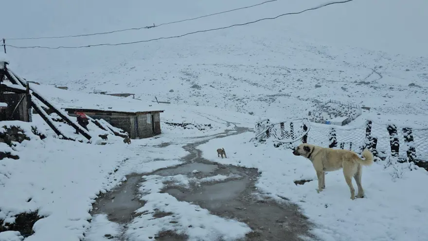 Yağmur kar yağışına döndü, yeni güne bembeyaz başladılar 3