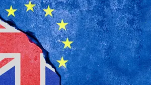 Brexit sonrası Fransız vatandaşlığına başvuru patlaması