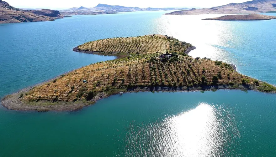 "Robinson Crusoe" Ziya dede hastalandı: Yerleştiği ıssız adayı yeşile bürümüştü 2