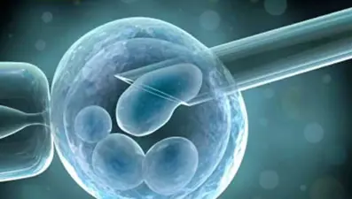 Yumurta ve embriyo dondurmak kanser hastalarında doğurganlığı koruyor