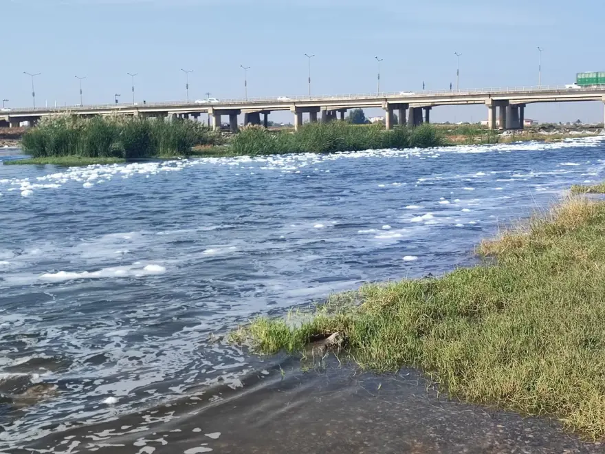 Dicle Nehri'nde "Beyaz köpük" alarmı! 6