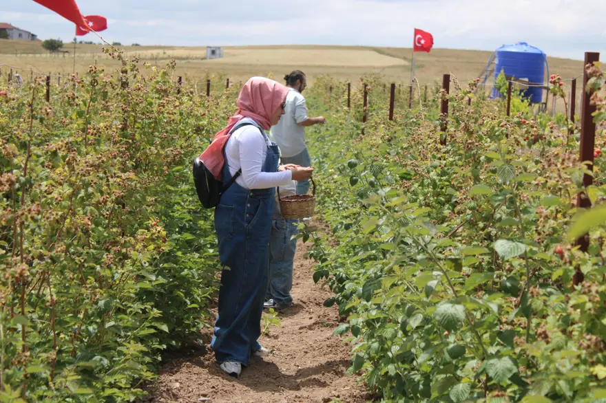 Hobi olarak başladığı işte talebe yetişemiyor 6