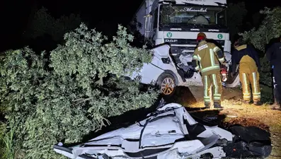 Tır otomobili biçip zeytinliğe daldı: 1 ölü