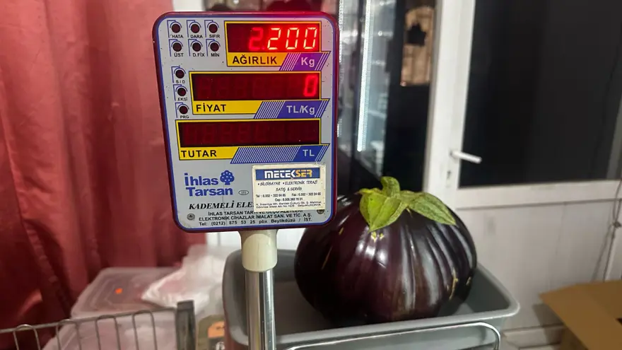 2 kilo 200 gramlık patlıcan görenleri şaşırttı! Hobi olarak ektiği bahçesinde yetişti 