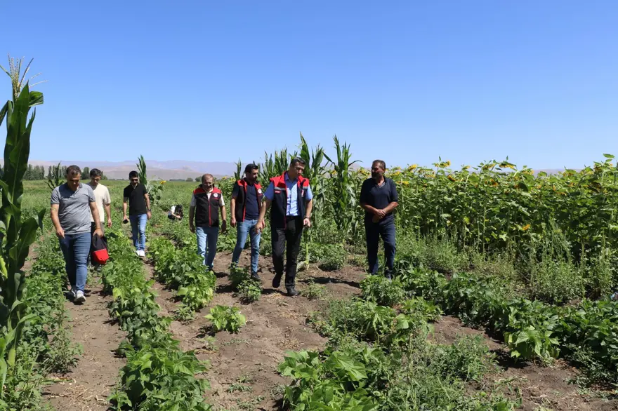 Fide desteğiyle kurdu şimdi göz dolduruyor: Sebze, meyve ve tahıl bir arada 2 Fide desteğiyle kurdu şimdi göz dolduruyor: Sebze, meyve ve tahıl bir arada 2