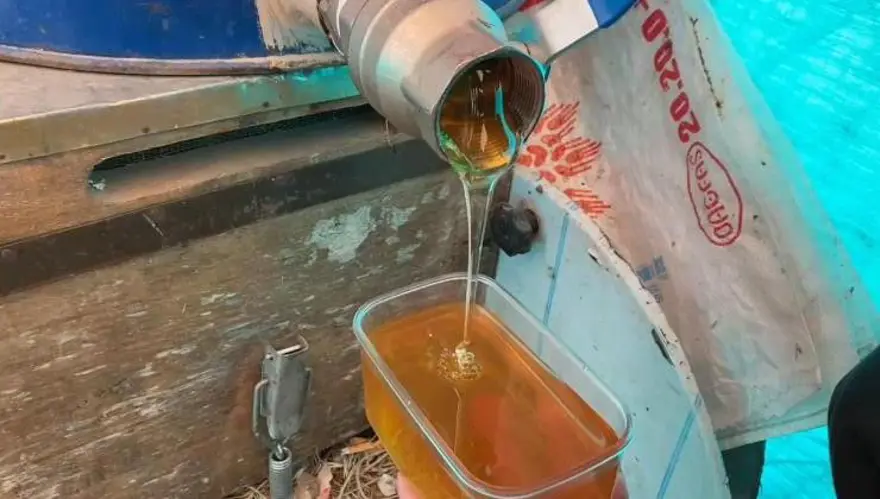 Türkiye’nin en yüksek rakımlı 3’üncü dağı! Sağım başladı, sütle karıştırınca uykusuzluğu bitiriyor 5 Türkiye’nin en yüksek rakımlı 3’üncü dağı! Sağım başladı, sütle karıştırınca uykusuzluğu bitiriyor 5