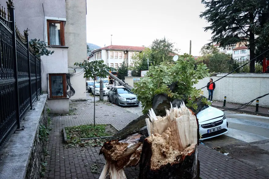 Bursa’da lodos etkili oldu (Elektrik direği ve ağaç araçlarınüzerine devrildi) 3