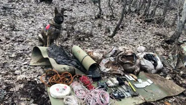 Bingöl'de 100 kilogram 'amonyum nitrat' ele geçirildi