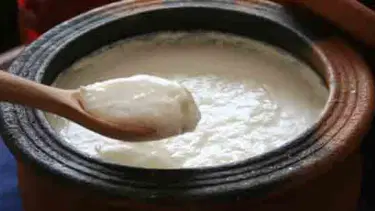 Günde bir kase yoğurt, diyabetten koruyor