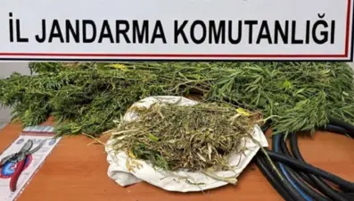 Niğde'de uyuşturucu operasyonu