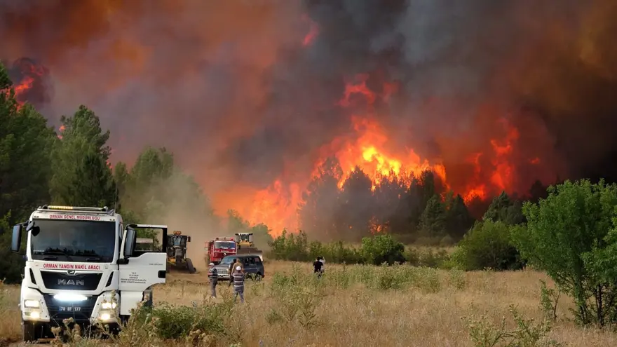 Bilecik, Sakarya, Eskişehir ve Karabük'te son durum: Çiftçiler orman yangınına karşı çukur kazmaya başladı 