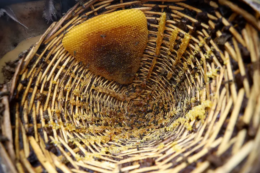 63 yaşında, 30 yıldır üretiyor: Kayınpederinden kalmıştı, kilosu bin 750 lira 