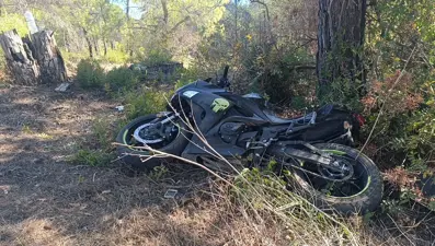 Virajı alamadı, ağaca çarptı: 2 yaralı