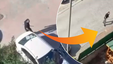 Sitede korku dolu anlar: Elindeki sopayla dehşet saçtı