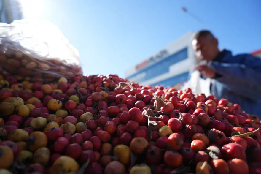 Seyyar doktor, dağ bitkileriyle şifa dağıtıyor! ''Bunu 2 ay tükettiğinizde kalpteki tüm damarlar açılıyor'' 1