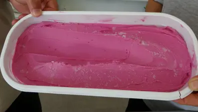 Deneme amaçlı üretilmişti, talep arttı: Şimdi de dondurması yapıldı