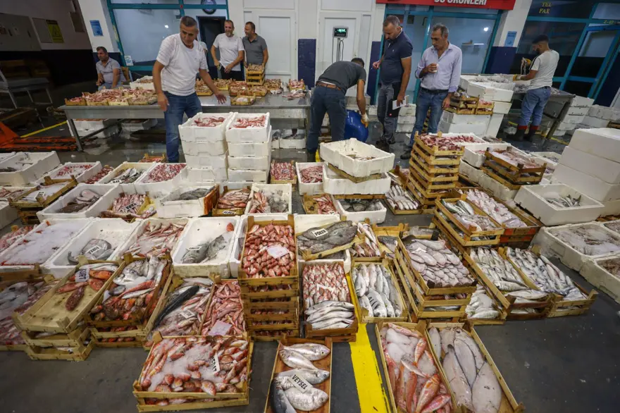 Balık sezonu başladı, fiyatlar yarı yarıya düştü (Güncel balık fiyatları: Palamut, hamsi, istavrit, çipura...) Balık sezonu başladı, fiyatlar yarı yarıya düştü (Güncel balık fiyatları: Palamut, hamsi, istavrit, çipura...)