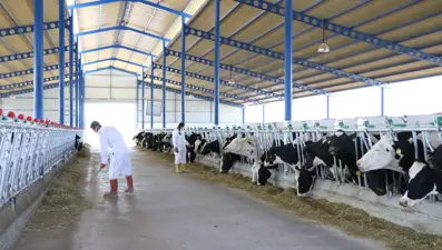 Niğde'de devlet desteğiyle 7,5 milyon liraya çiftlik kurdu