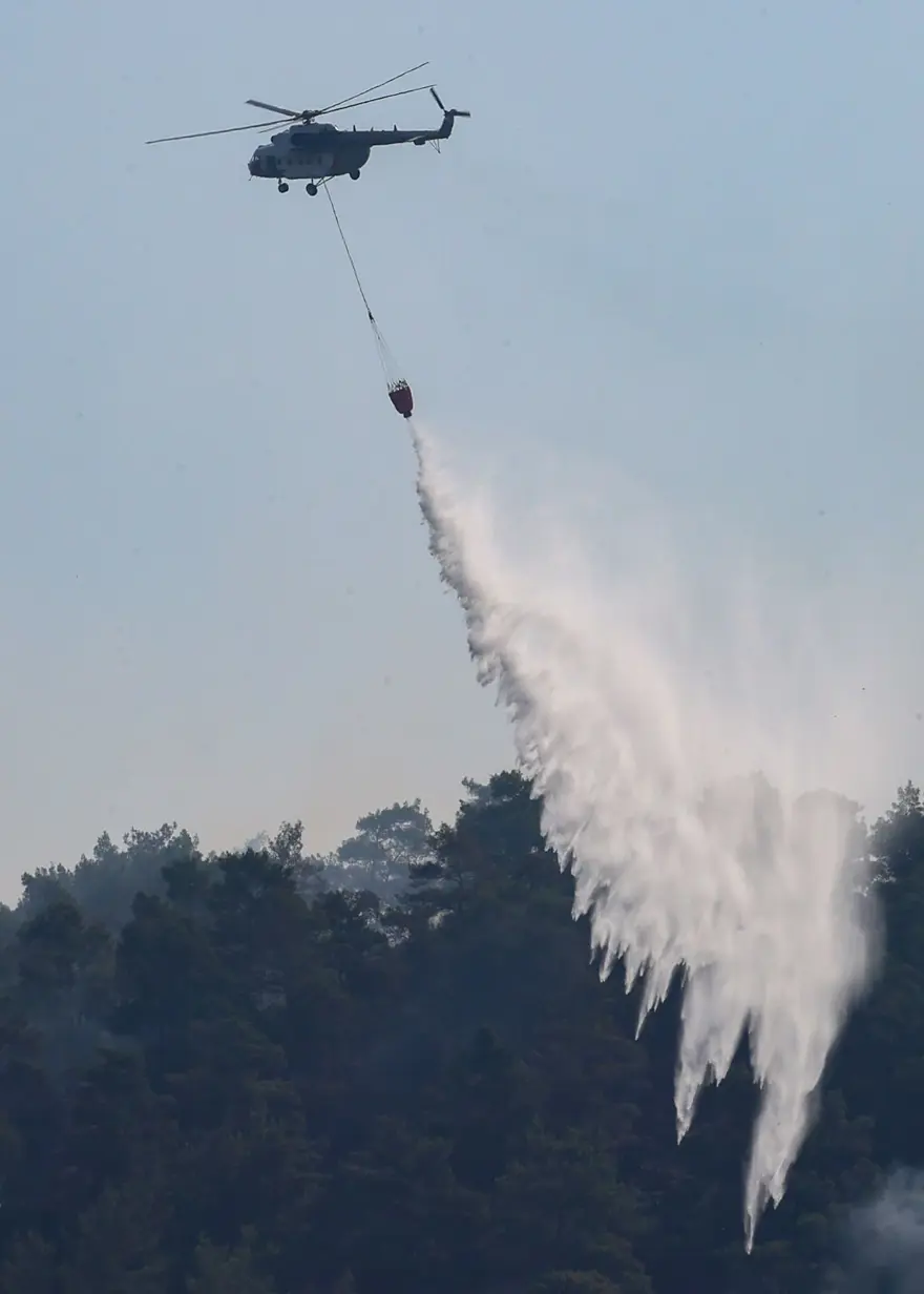 Cumhurbaşkanı Erdoğan: Marmaris'teki orman yangını büyük oranda kontrol altında 83