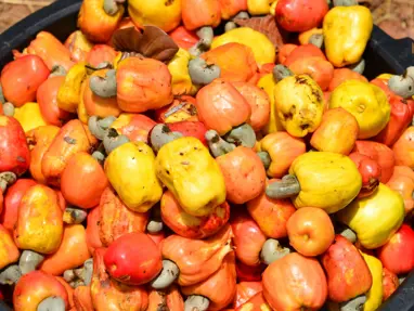 Doğanın zihin açıcıları: Beyni ve hafızayı geliştiriyor