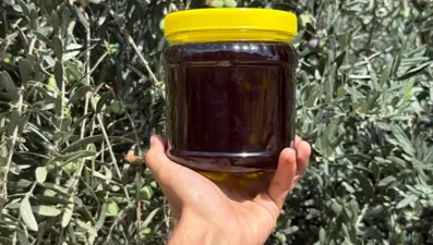 "Yok yılı" rekolte beklentisini düşürdü: Sahtesine karşı uyarı