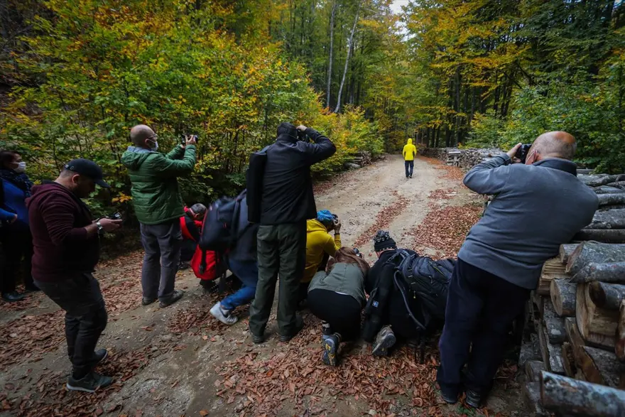 Doğa ve fotoğraf tutkunları, sonbahar renklerine bürünen Domaniç'te buluştu 11