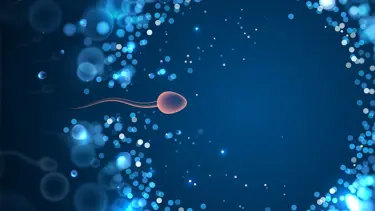 BioNTech aşısı kısırlık yapıyor mu? (Sperm sayısına etkisi araştırıldı)