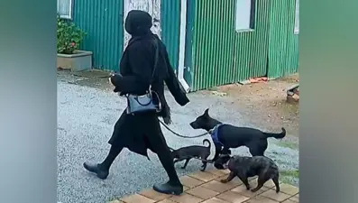 Reality Show yıldızı, erkek arkadaşının başını kesti