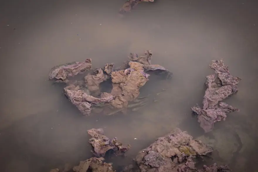 “BALIKLAR YERSE ÖLÜR” 6