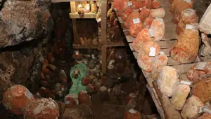 Obruk peynirinin lezzet yolculuğu başladı: 1800 metrede sarp kayaların arasında saklıyorlar, kilosu 100 TL'den satılacak