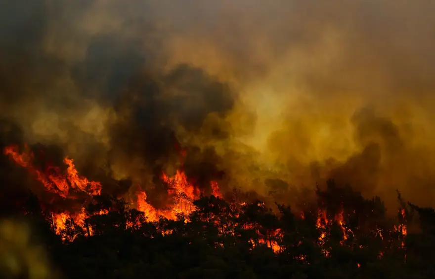 Marmaris'te orman yangını: Alevlerle mücadelede 2. gün 13 Marmaris'te orman yangını: Alevlerle mücadelede 2. gün 13