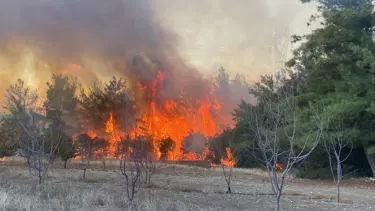 Çanakkale'deki orman yangını kontrol altına alındı