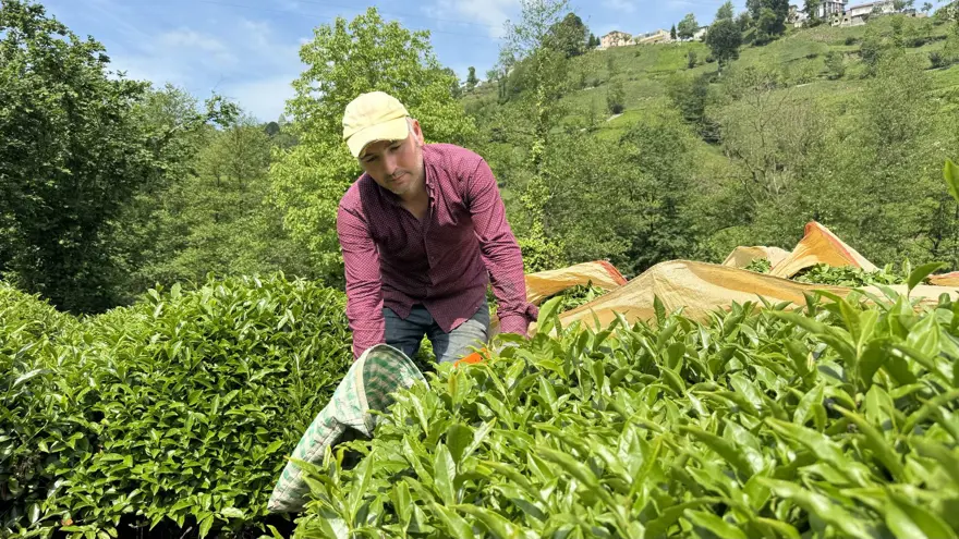 Trabzon Uluağaç Mahallesi'nde kadınlar 26 yıldır yük taşımıyor 4