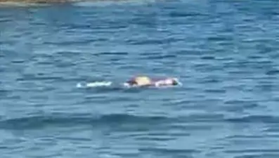 Foça'da sahilde bulunan ceset, kayıp olarak aranan kişiye ait çıktı