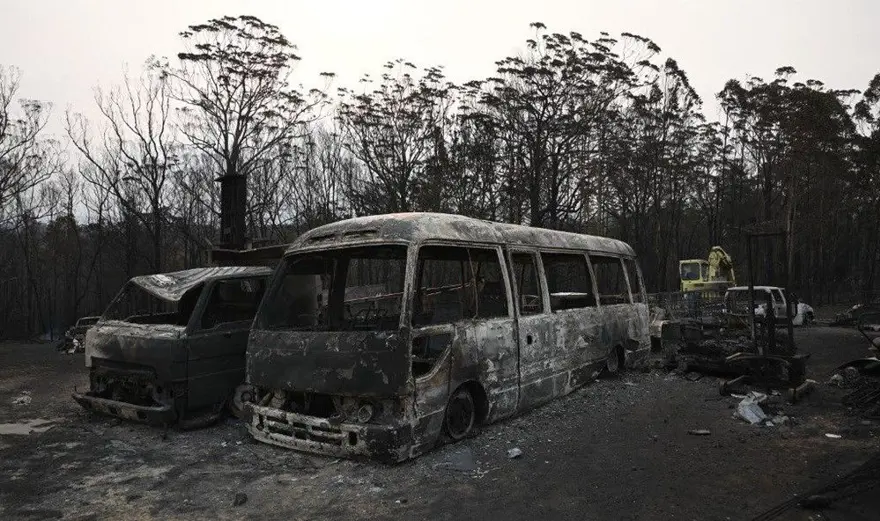 Avustralyalı askerler yangından kurtarılan koalalara bakıyor 14