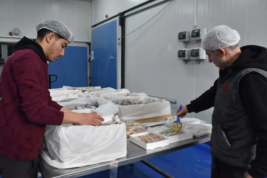 Balıkçılar limana erken döndü: Av sezonuna iklim değişikliği etkisi Balıkçılar limana erken döndü: Av sezonuna iklim değişikliği etkisi