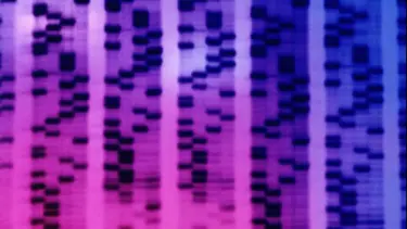Bilim insanları prostat kanserinde erken teşhis için tükürük testi geliştirdi