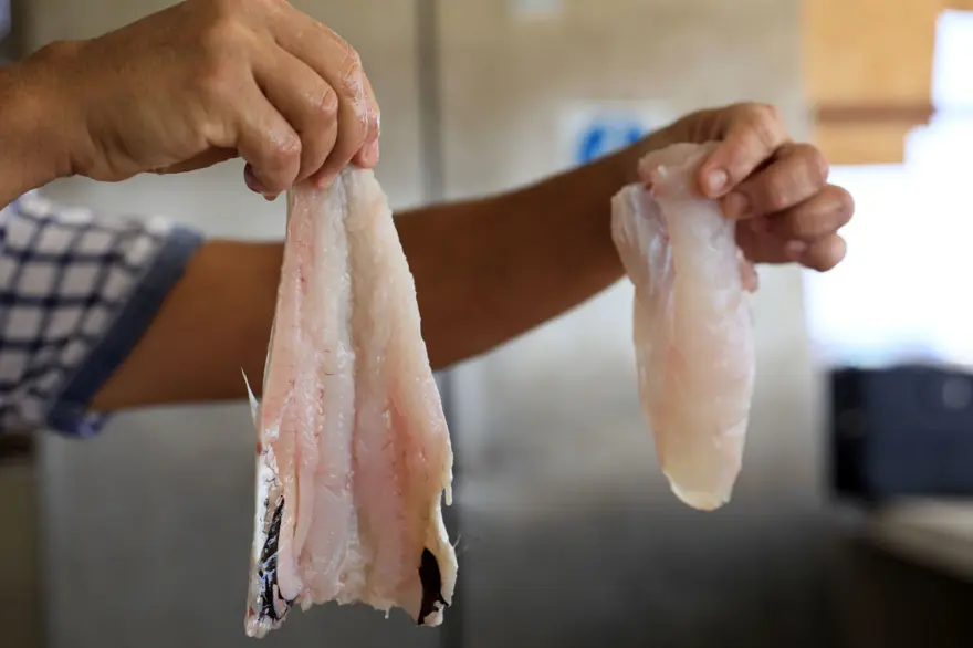 Mezgitin kilosu 750 lirayı buldu: Yarı fiyatına "zehir" uyarısı 