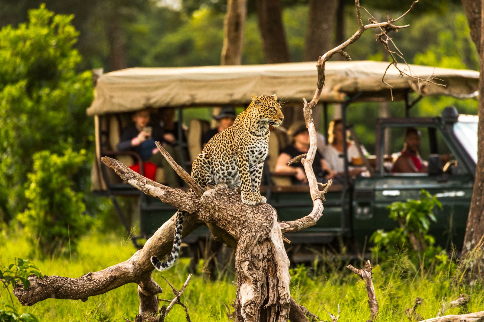 Kenya dünyanın her yerinden turistlere vizeyi kaldırdı