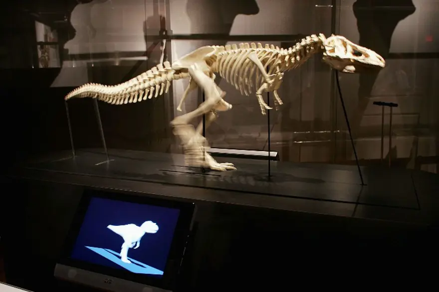 Dinozorların neslinin tükenmesi ile ilgili yeni iddia 4