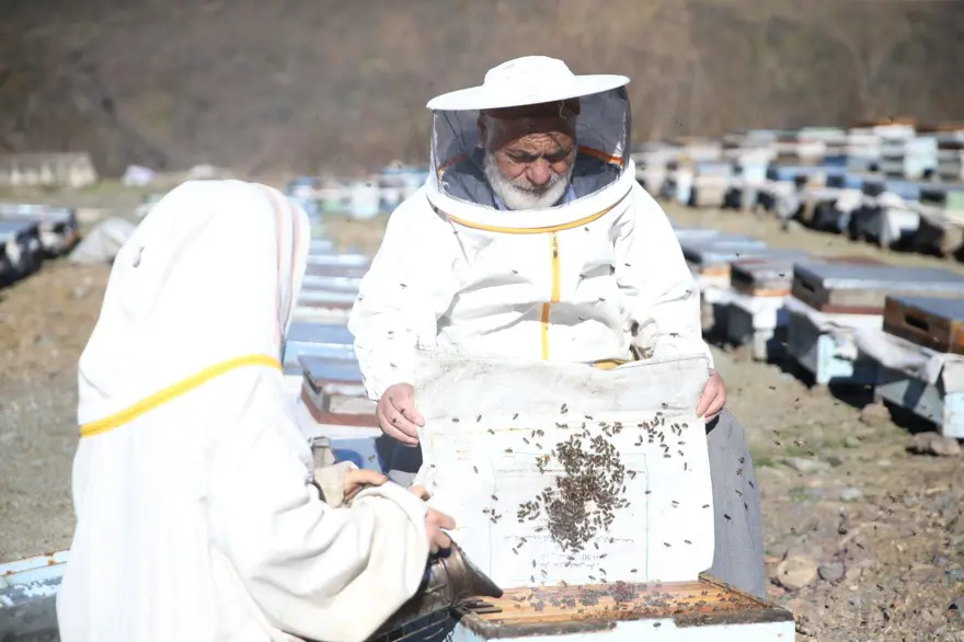 80 yaşında 50 yıl önce başladığı mesleği sürdürüyor: Sayısını 450'ye çıkardı 