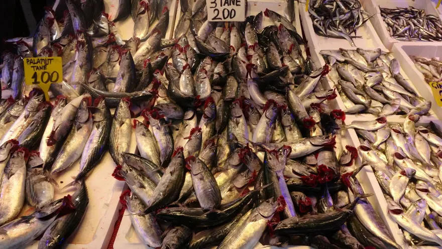 Havalar serinledi, tezgahta bolluk yaşanıyor: Tanesi 100 TL 3 Havalar serinledi, tezgahta bolluk yaşanıyor: Tanesi 100 TL 3