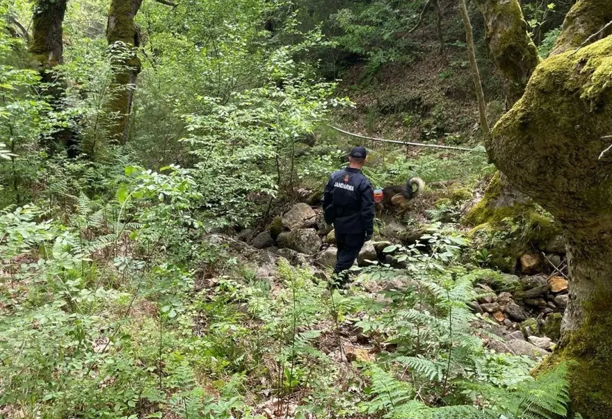 Korhan Berzeg’den ilk iz | Bölgede başka kemikler var mı?Kadavra köpeğiyle arama sürüyor 1