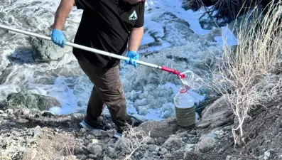 Ceyhan Nehri'nde balık ölümleri: Ekipler harekete geçti